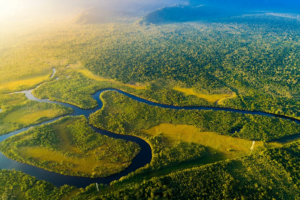 अमेज़न जंगल | Amazon rainforest
